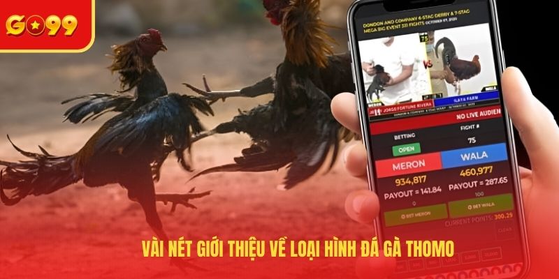 Vài nét giới thiệu về loại hình đá gà Thomo